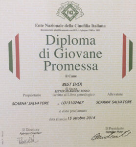 Risultati Expo CH Best Ever