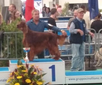 04-nds-macerata-24-09-2017