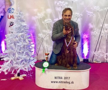 04ch garden star rolling stones s ids nitra del 10-12-2017 1 ecccac cacib bob!!!