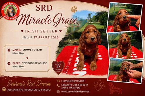 grace
